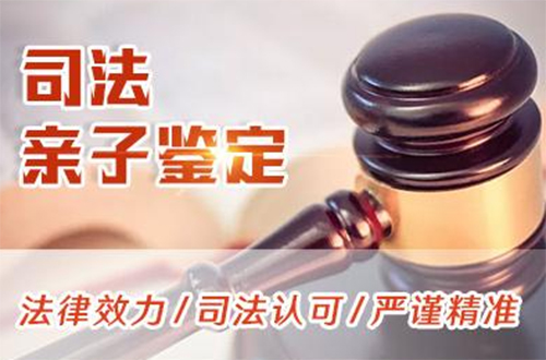 淮安司法DNA亲子鉴定的流程,司法亲子鉴定采集什么样本